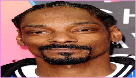 Snoop Dogg Rap Sheet: A Comprehensive Overview Of His Legal Encounters